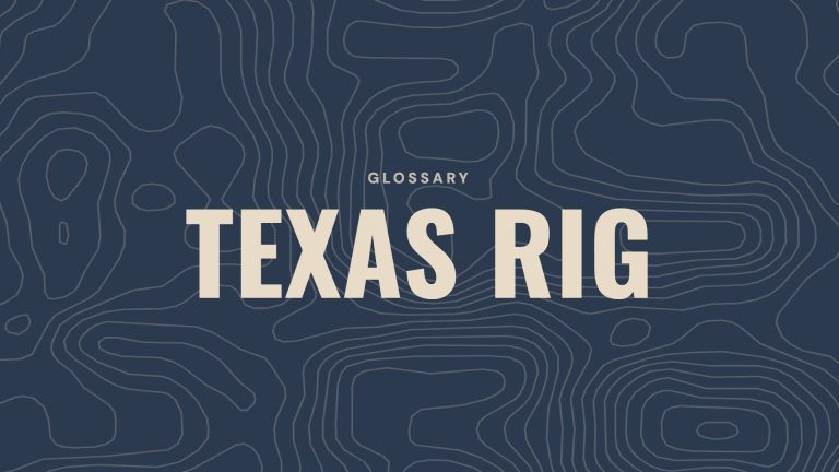 Glossary: Texas rig