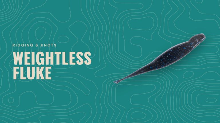 Cover reading "Weightless fluke" with a Fluke Frenzy soft bait in Night Fury
